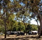 Barracrab Caravan Park - Darwin Tourism