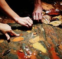 Daintree Eco Lodge And Spa - Darwin Tourism