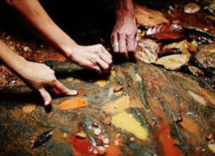 Daintree Eco Lodge And Spa - Darwin Tourism 0