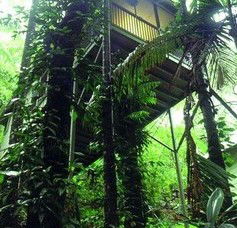 Daintree Eco Lodge And Spa - Darwin Tourism 1
