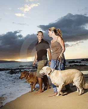 Four Seasons Holiday Park - Darwin Tourism 3
