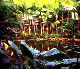Daintree Eco Lodge And Spa - Darwin Tourism 3
