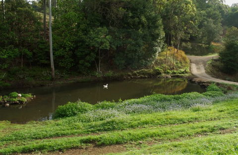 Wattle Gully Retreat - Darwin Tourism 4