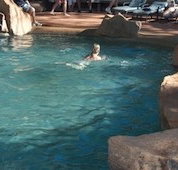 Undara Experience Lava Lodge - Darwin Tourism