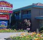 Strzelecki Motor Lodge - Darwin Tourism