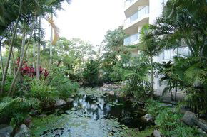 181 The Esplanade - Darwin Tourism 1