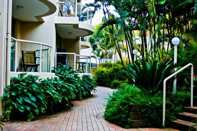 Miami Beachside Apartments - Darwin Tourism 9