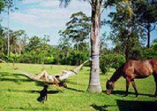 Clybucca NSW Darwin Tourism