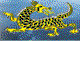 Dragon Phoenix Motel amp Restuarant - Darwin Tourism