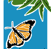 Wanderers Retreat - Darwin Tourism