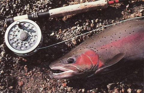 Boutique Motel Sefton House - Darwin Tourism 1