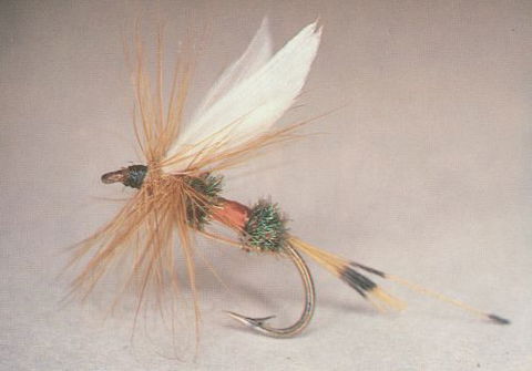 Boutique Motel Sefton House - Darwin Tourism 6