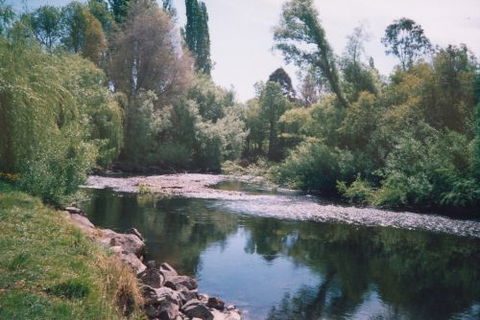 Boutique Motel Sefton House - Darwin Tourism 7