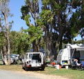 Elliston Caravan Park - Darwin Tourism