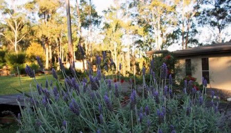 Wild Edge Retreat - Darwin Tourism 2