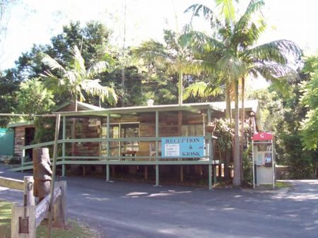 Mount Warning Rainforest Park - Darwin Tourism 1