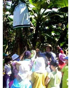 Cudgen NSW Darwin Tourism