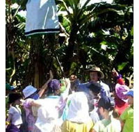 Beachfarm Farmstay - Darwin Tourism