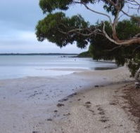 Stanley Lakeside Spa Cabins - Darwin Tourism