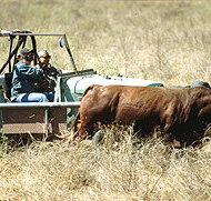Bullo River Station - Darwin Tourism