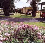 Brigadoon Holiday Units - Darwin Tourism