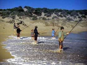Flippers Beachouse - Darwin Tourism 0