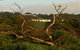 Black Rock Retreat - thumb 0