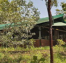 Arnhemland Barramundi Nature Lodge - Darwin Tourism