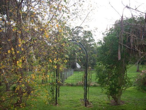 Whitelaw's Rest - Darwin Tourism 1