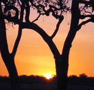 Coodardie Station Stay - Darwin Tourism