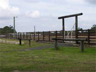 Mt White Lodge - Darwin Tourism 2