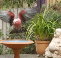 Wattle Court  Retreat - Darwin Tourism