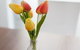 Easystay Apartments Raglan Street - thumb 11