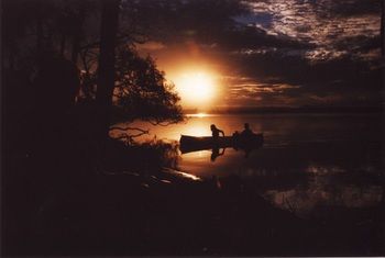 Lake Weyba Cottages Noosa - Darwin Tourism 12