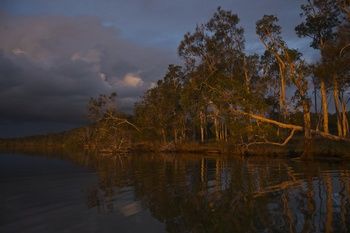 Lake Weyba Cottages Noosa - Darwin Tourism 27