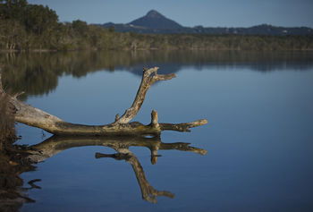 Lake Weyba Cottages Noosa - Darwin Tourism 28