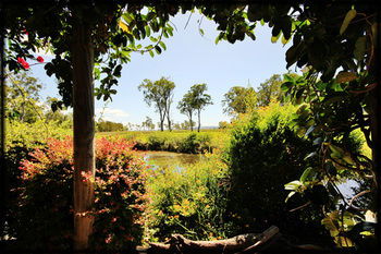 Lake Weyba Cottages Noosa - Darwin Tourism 36