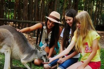 Pacific Horizons Resort - Darwin Tourism 23