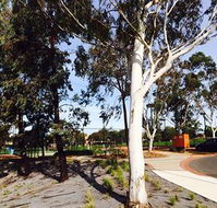 Box Hill Studios at Canterbury Gardens - Darwin Tourism