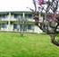 The Tumut Motor Inn - Darwin Tourism