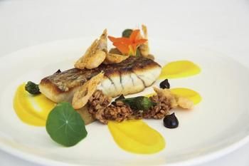 Jonahs Restaurant & Accommodation, Whale Beach - Darwin Tourism 2