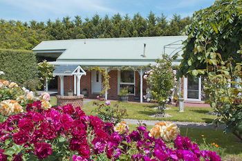 Lakeside Cottage - Darwin Tourism 10