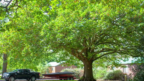 Lakes And Craters Holiday Park - Darwin Tourism 0