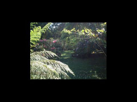 A Country House At Winstanley - Darwin Tourism 4