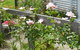 Willy's Holiday House - thumb 4