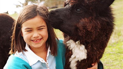 Sabrelyn Park - Darwin Tourism 1