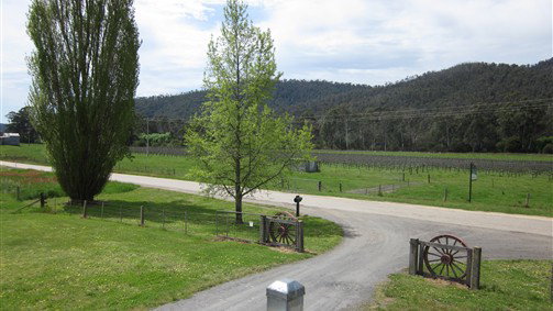 Cheshunt South VIC Darwin Tourism