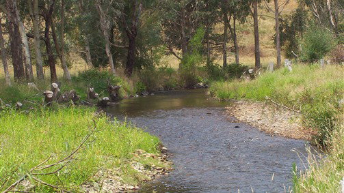 Thowgla Valley VIC Darwin Tourism
