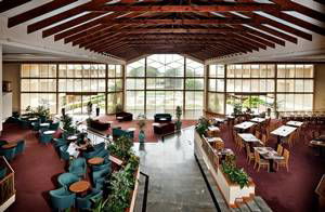 Abbey Beach Resort - Darwin Tourism 1