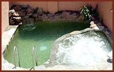 Winsor Park Motor Inn - Darwin Tourism 1